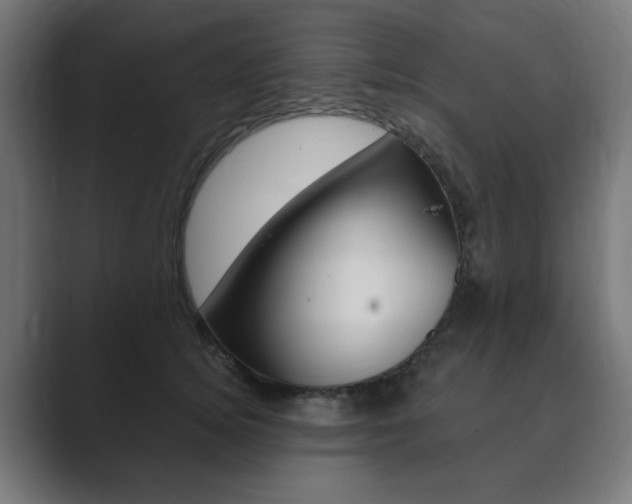 X0000089850756200706281020