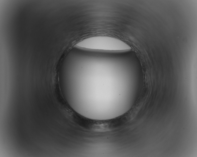 X0000089850760200706281020
