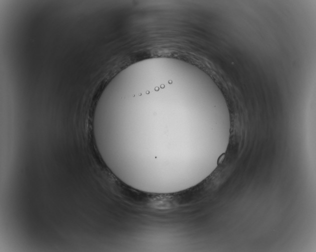 X0000089850761200706281020