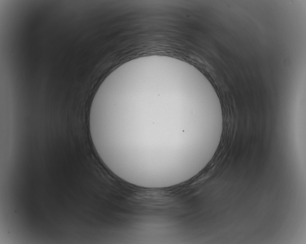 X0000089850762200706281020