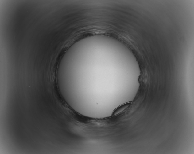 X0000089850763200706281020