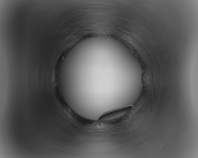 X0000089850764200706281020