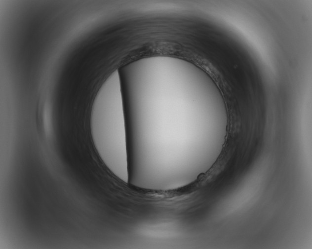 X0000089850765200706281020