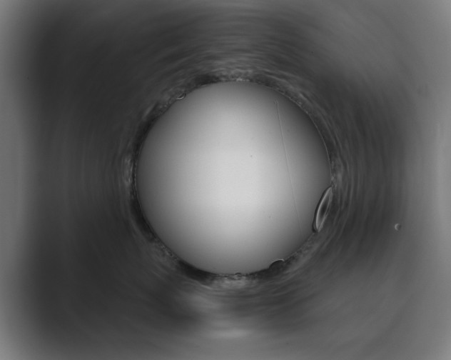 X0000089850767200706281020