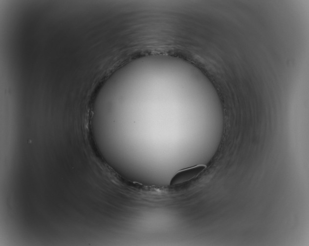 X0000089850768200706281020