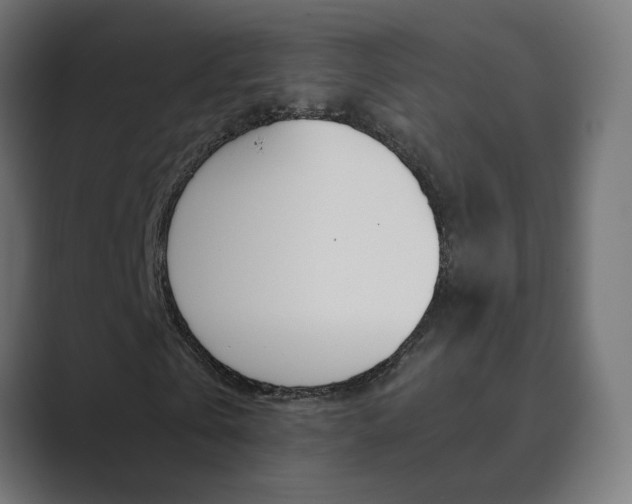 X0000089850769200706281020