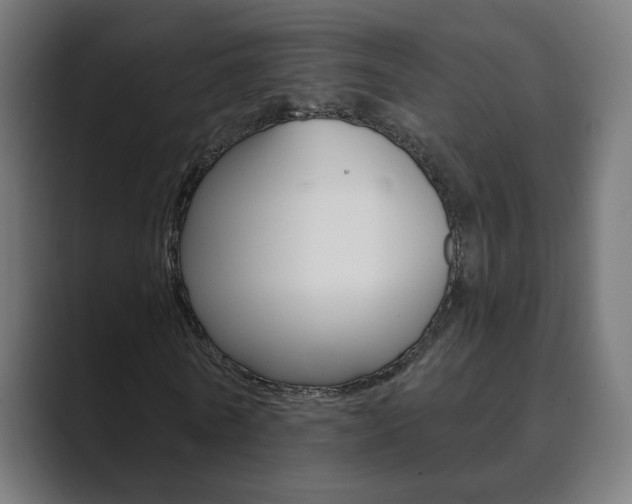 X0000089850770200706281020