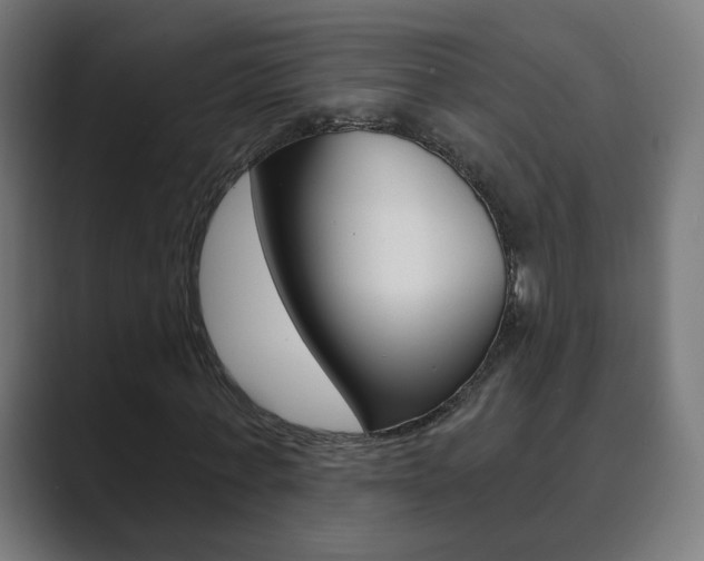 X0000089850771200706281020