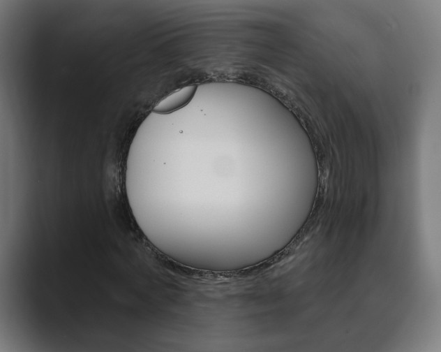 X0000089850772200706281020