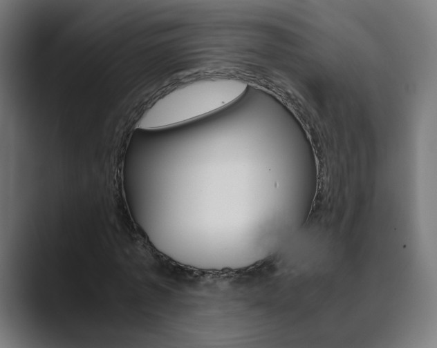 X0000089850773200706281020