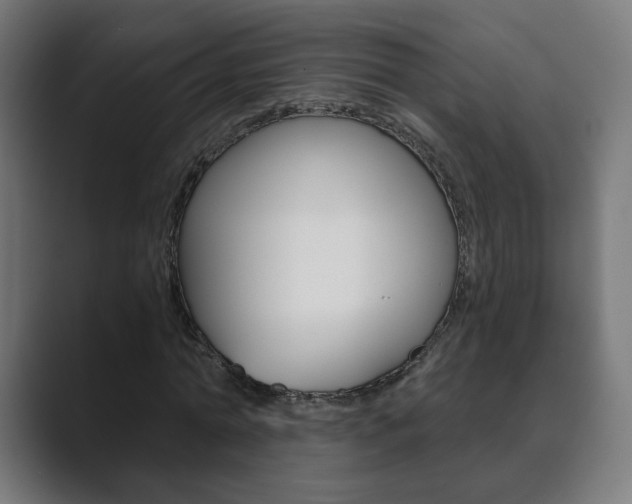 X0000089850774200706281020