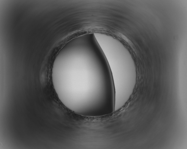 X0000089850775200706281020