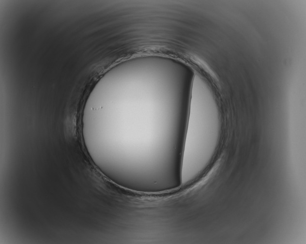 X0000089850777200706281020