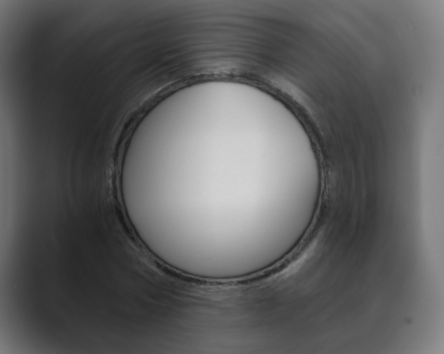 X0000089850778200706281020