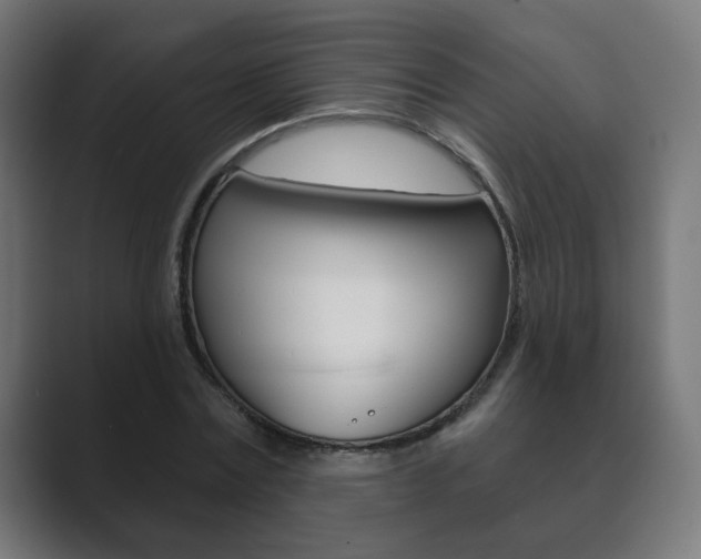 X0000089850779200706281020