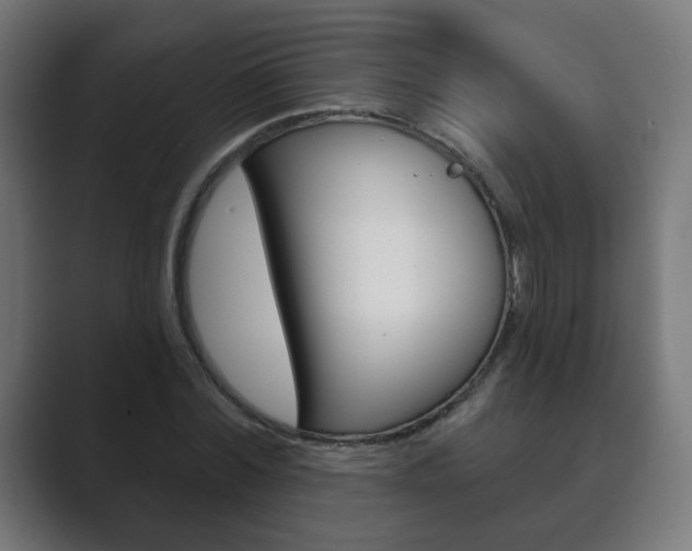 X0000089850780200706281020