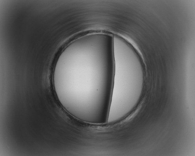 X0000089850783200706281020
