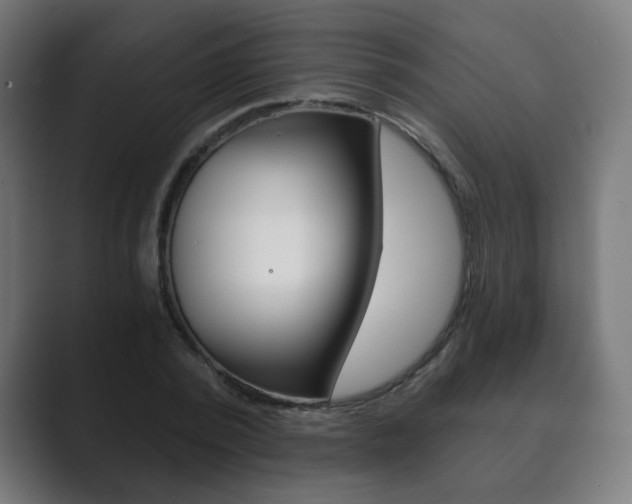 X0000089850784200706281020