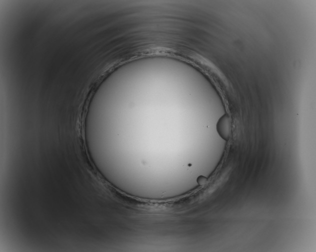 X0000089850785200706281020