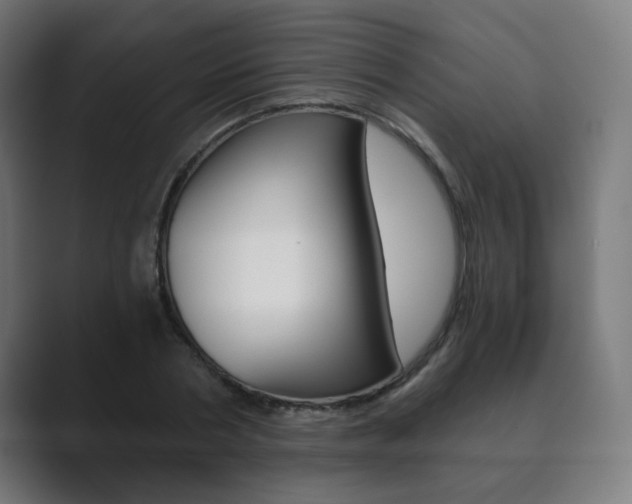X0000089850786200706281020