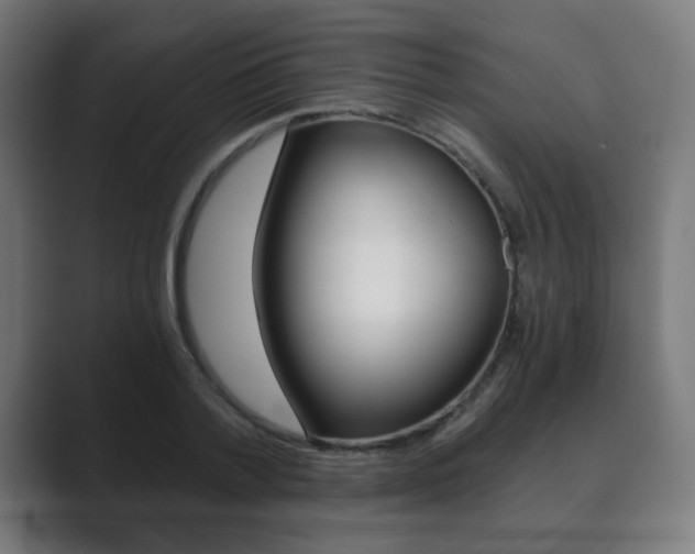 X0000089850788200706281020