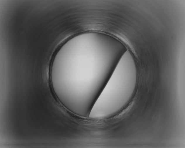 X0000089850790200706281020