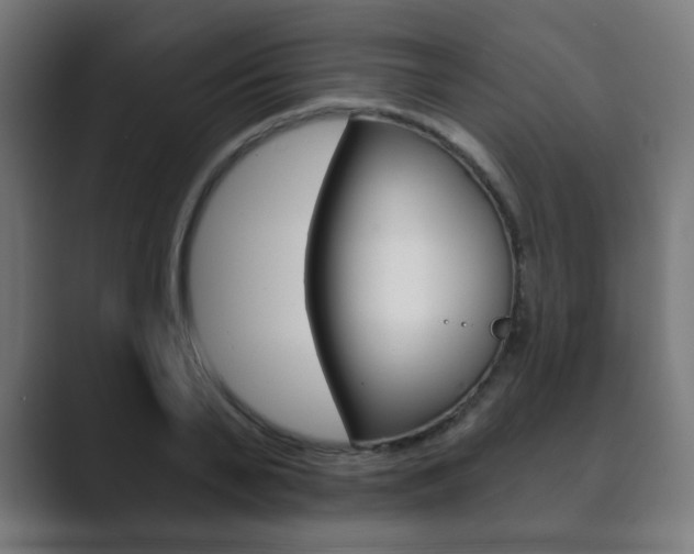 X0000089850791200706281020