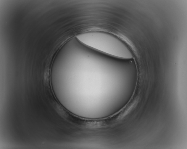 X0000089850793200706281020