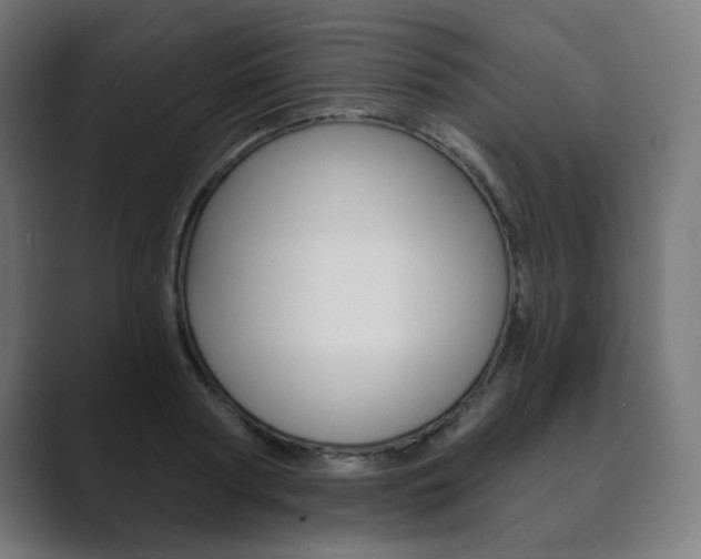 X0000089850794200706281020