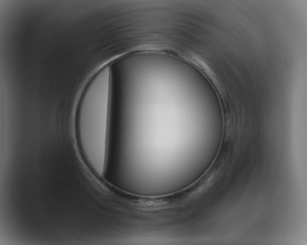 X0000089850795200706281019
