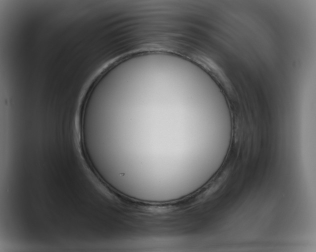 X0000089850796200706281019
