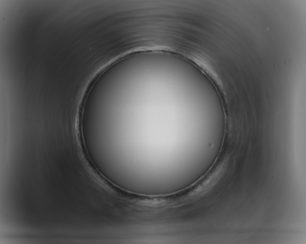 X0000089850797200706281019