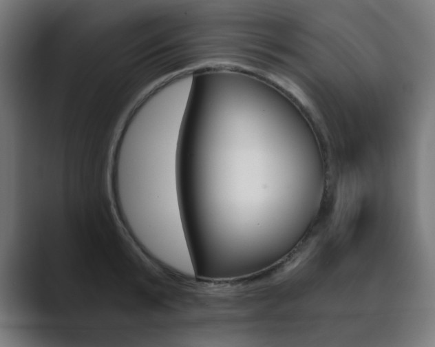 X0000089850799200706281019