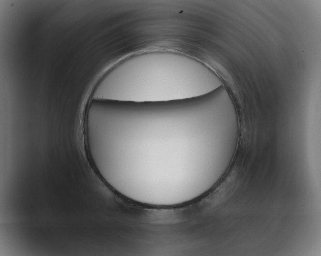 X0000089850800200706281019