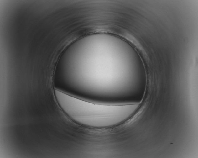 X0000089850801200706281019