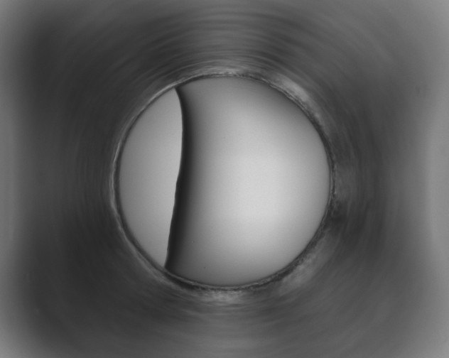 X0000089850802200706281019