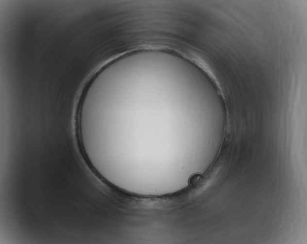 X0000089850803200706281019