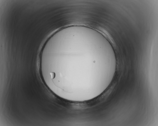 X0000089850804200706281019