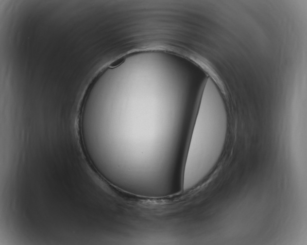X0000089850805200706281019