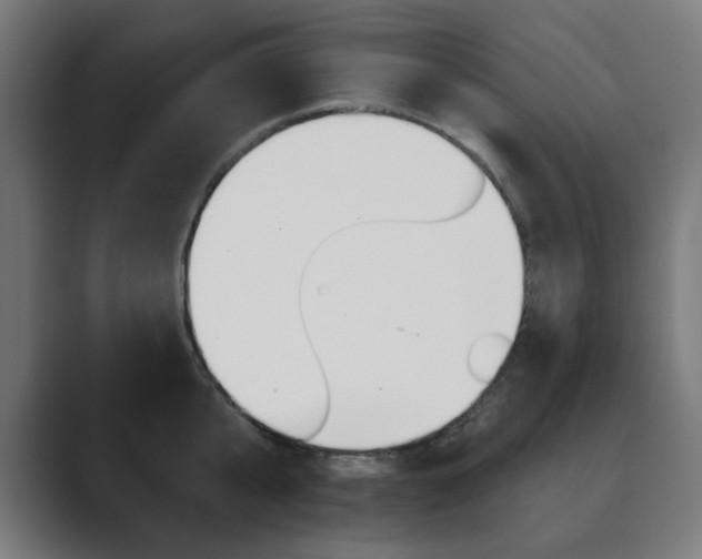 X0000089850807200706281019