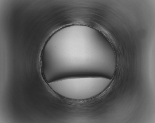X0000089850808200706281019