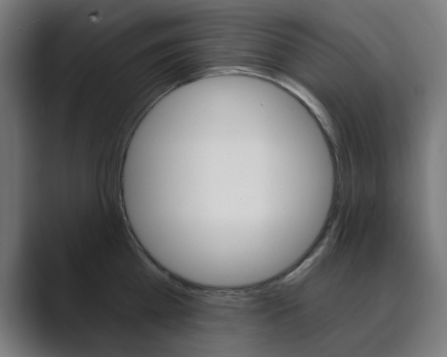 X0000089850809200706281019