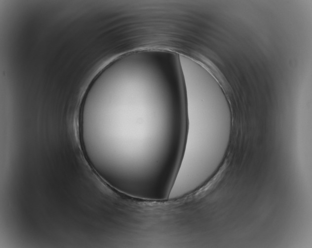 X0000089850812200706281019