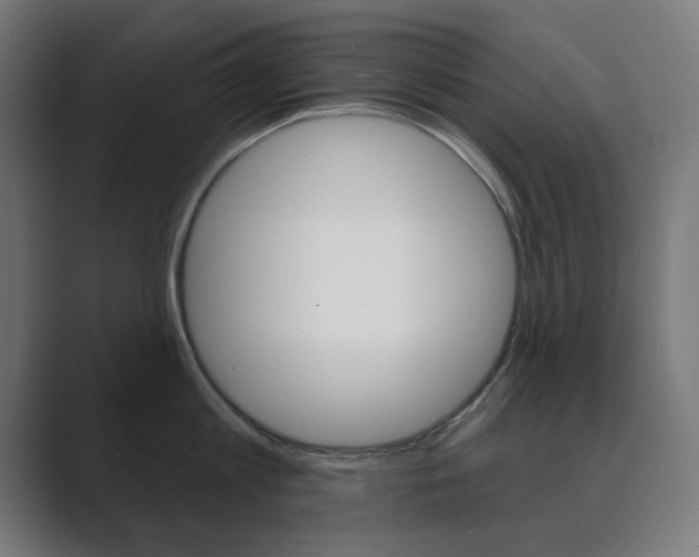 X0000089850813200706281019