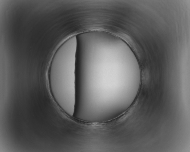X0000089850814200706281019
