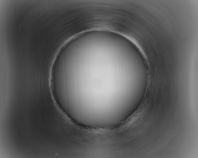 X0000089850815200706281019
