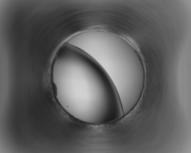 X0000089850816200706281019