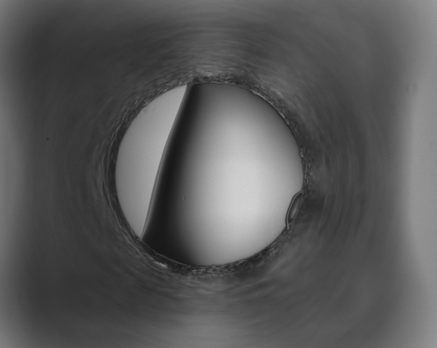 X0000089850817200706281019
