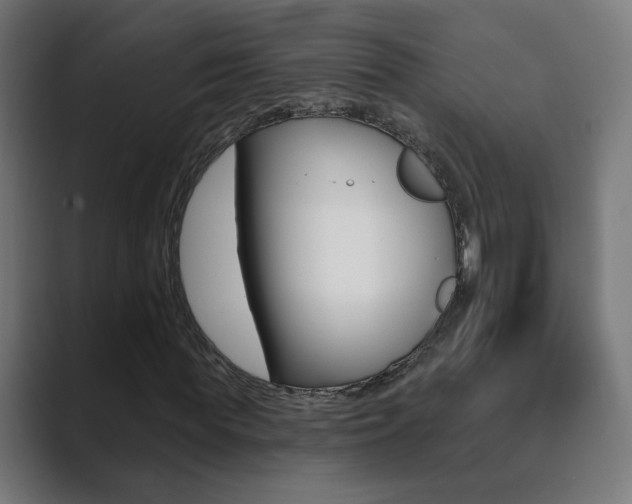 X0000089850819200706281019