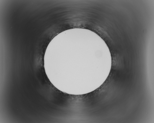 X0000089850820200706281019